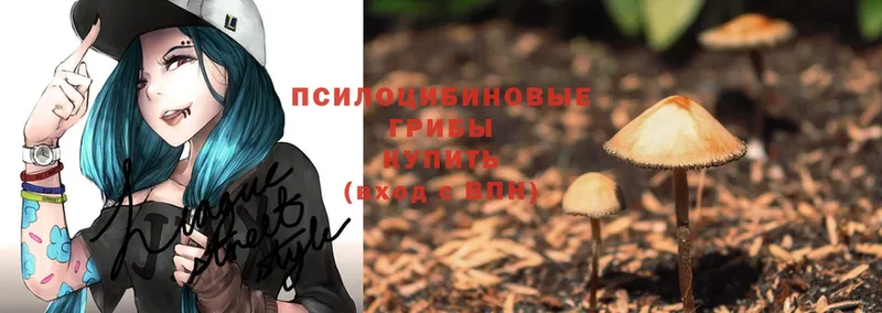 Псилоцибиновые грибы Magic Shrooms Джанкой